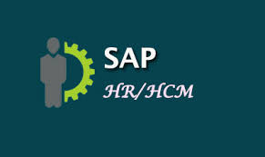 SAP HCM Training